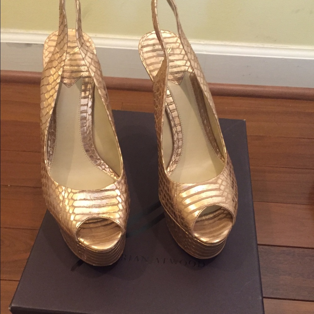 Brian Atwood Pump